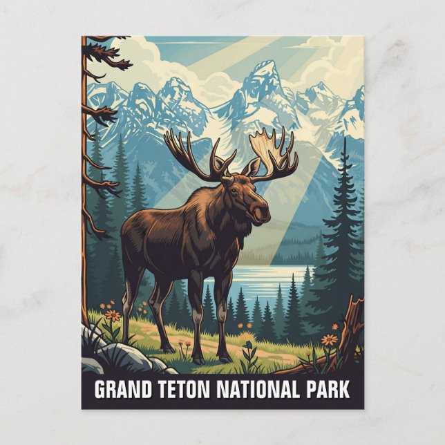Vintage Moose at Grand Teton National Park Postcard (Front)