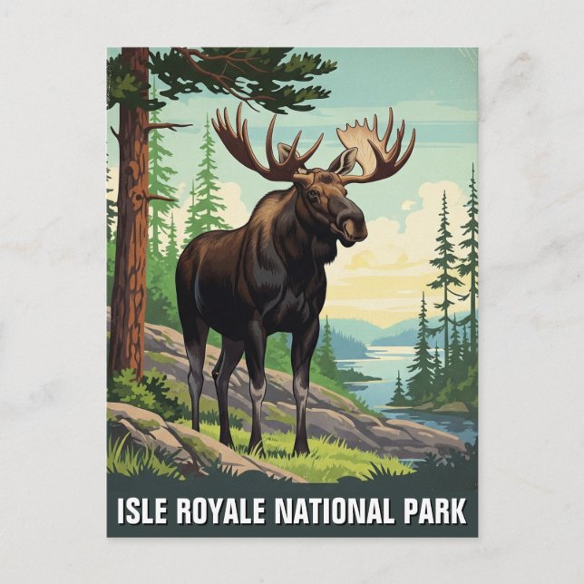Vintage Moose at Isle Royale National Park Postcard (Front)