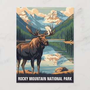 Vintage Moose at Rocky Mountain National Park Postcard