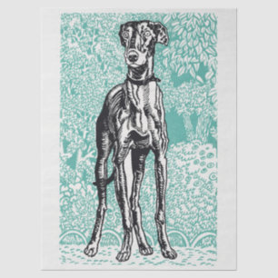 Vintage Moriz Jung Greyhound Art Teal Background Tissue Paper