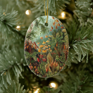 Vintage Moss Plants by Ernst Haeckel, Muscinae Ceramic Tree Decoration