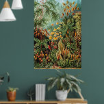 Vintage Moss Plants Muscinae by Ernst Haeckel Poster<br><div class="desc">Different colourful mosses,  grasses and another exotic tropical plants in a rainforest jungle by german zoologist,  naturalist,  professor,  and marine biologist,  Ernst Haeckel (1843–1919). Original from Library of Congress.</div>