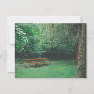 Vintage Mossy Bench Postcard