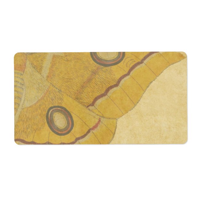 Vintage Moth (Front)