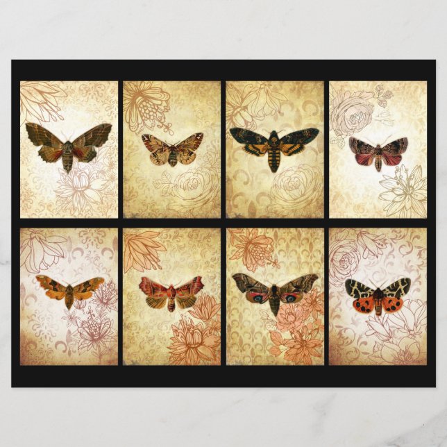 Vintage Moth ATC Scrapbook Cards (Front)