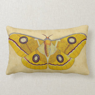 Vintage Moth Lumbar Cushion