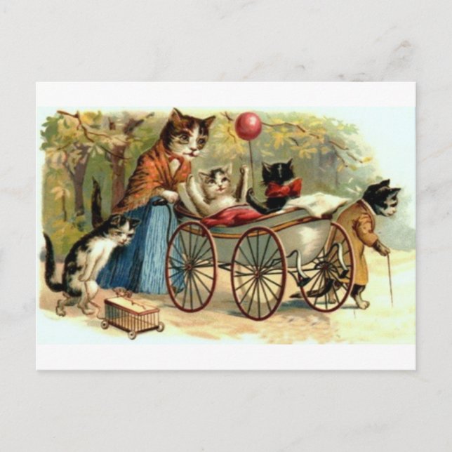 Vintage Mother Cat Postcard (Front)