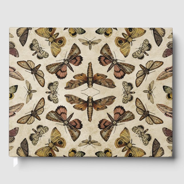 Vintage Moths Guest Book (Front)