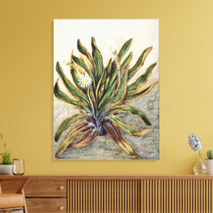 Vintage Mountain Daisy Botanical Illustration Canvas Print