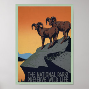 Vintage Mountain Goats National Parks Preserve Poster
