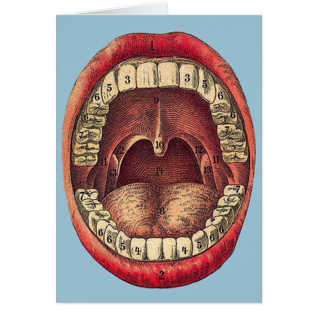 Vintage Mouth (Front)