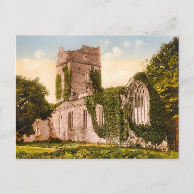 Vintage Muckross Abbey Killarney Ireland Postcard (Front)