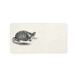 Vintage Mud Tortoise - Reptile Turtle Template Label
