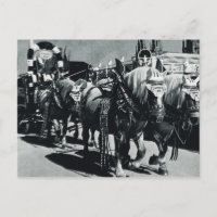 Vintage Munich, Oktoberfest, Brewery horses