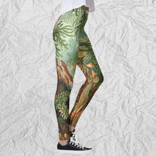 Vintage Muscinae, Moss Plants by Ernst Haeckel Leggings