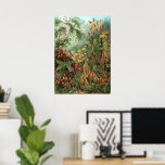 Vintage Muscinae, Moss Plants by Ernst Haeckel Poster<br><div class="desc">Vintage illustration nature botanical design by Ernst Haeckel. A variety of colorful mosses,  grasses and other exotic tropical plants in a rainforest jungle.</div>