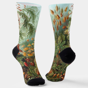 Vintage Muscinae, Moss Plants by Ernst Haeckel Socks