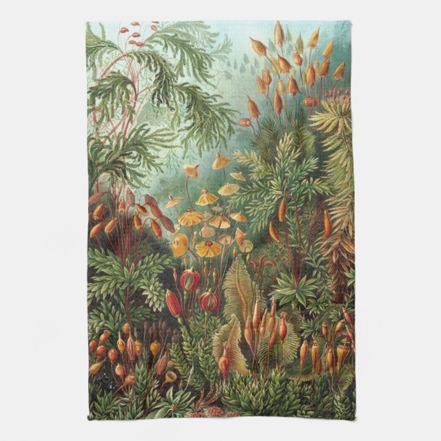 Vintage Muscinae, Moss Plants by Ernst Haeckel Tea Towel (Vertical)
