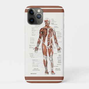 Vintage Muscular Circulatory System Diagram Case-Mate iPhone Case