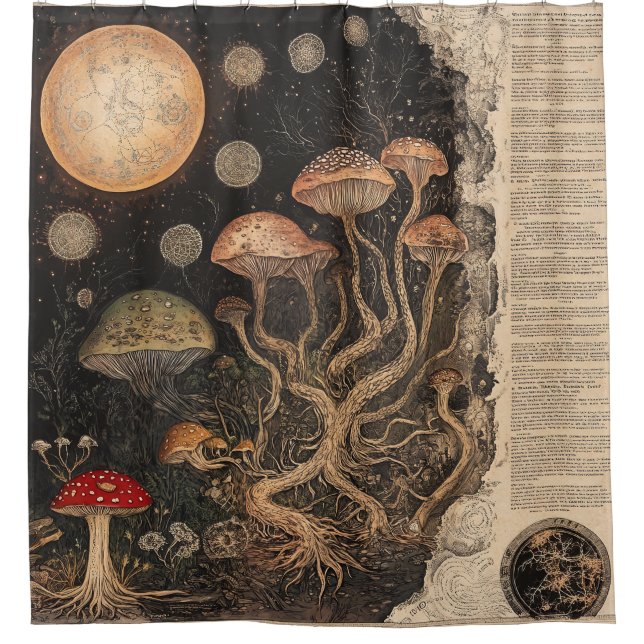 Vintage Mushroom Botanical Chart (7) Shower Curtain (Front)