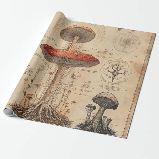 Vintage Mushroom Botanical Chart (8) Wrapping Paper (Unrolled)