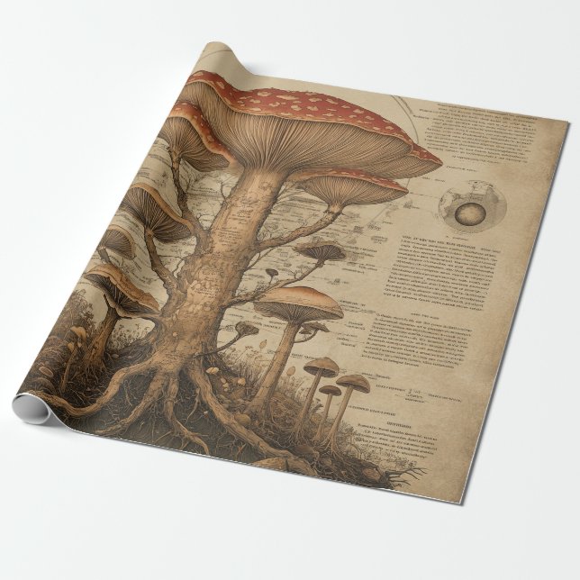 Vintage Mushroom Botanical Chart (9) Wrapping Paper (Unrolled)