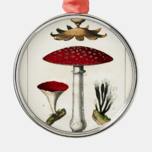 Vintage Mushroom Botanical Print Metal Tree Decoration
