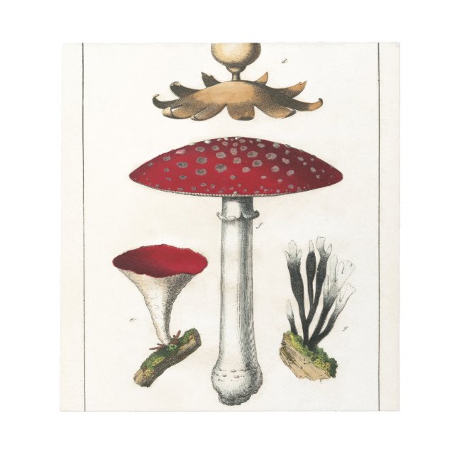 Vintage Mushroom Botanical Print Notepad (Front)