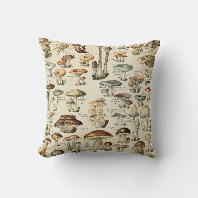 Vintage Mushroom Cushion (Front)