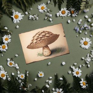 Vintage Mushroom Decoupage Paper