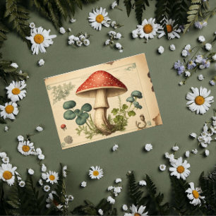 Vintage Mushroom decoupage Tissue Paper