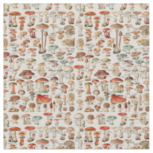 Vintage Mushroom Fungus Illustration I Fabric