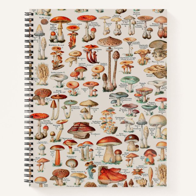 Vintage Mushroom Fungus Illustration I Notebook (Front)