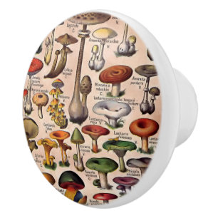 Vintage Mushroom Guide Drawer Pull