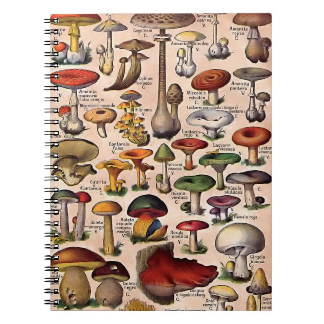 Vintage Mushroom Guide Spiral Notebook (Front)