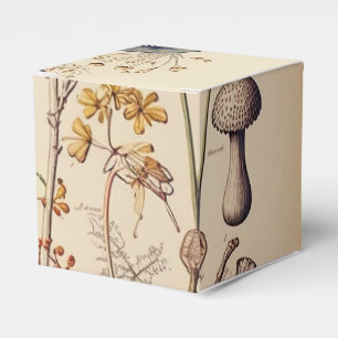 Vintage Mushroom Naturalist Favour Box