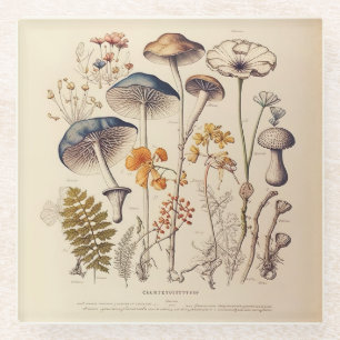 Vintage Mushroom Naturalist Glass Coaster