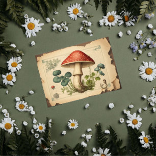 Vintage Mushroom Paper Toadstools Decoupage