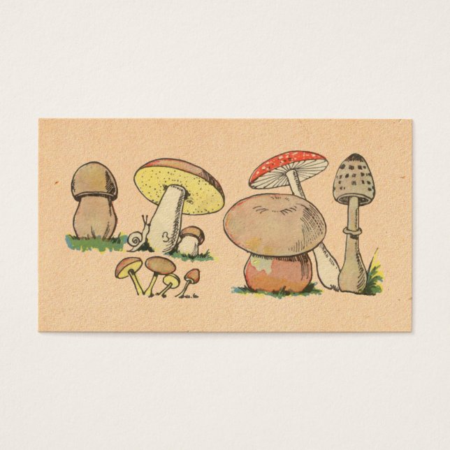 Vintage Mushroom Print (Front)