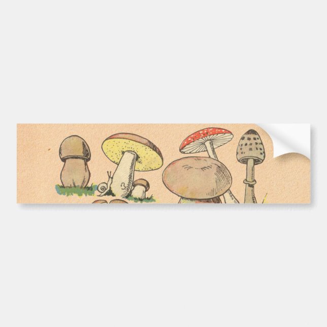 Vintage Mushroom Print Bumper Sticker (Front)
