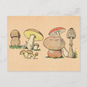 Vintage Mushroom Print Postcard