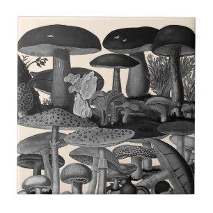 Vintage mushrooms black and white illustration tile
