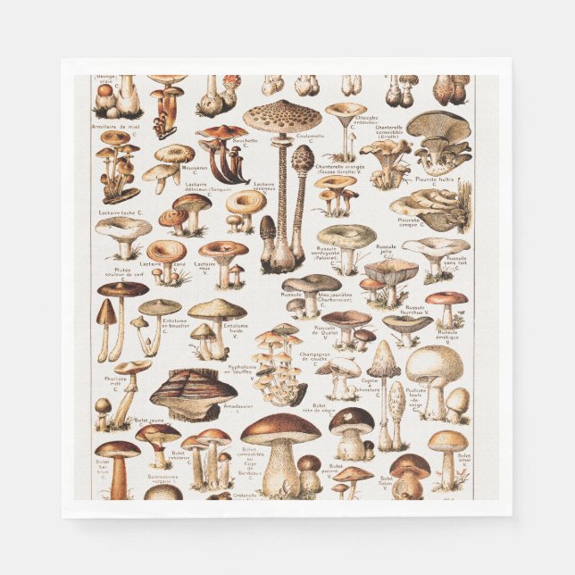 Vintage Mushrooms By Adolphe Millot Napkin (Front)