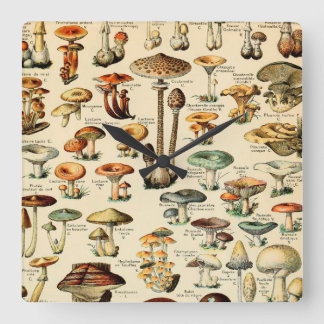 Vintage Mushrooms & Fungi Square Wall Clock