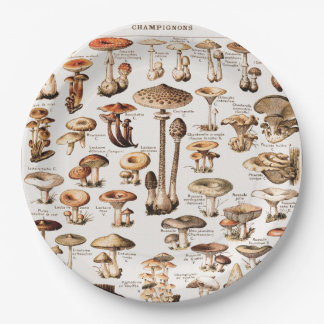 Vintage Mushrooms Illustration By Adolphe Millot Paper Plate