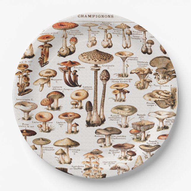 Vintage Mushrooms Illustration By Adolphe Millot Paper Plate (Front)