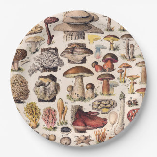 Vintage Mushrooms Illustration By Adolphe Millot Paper Plate