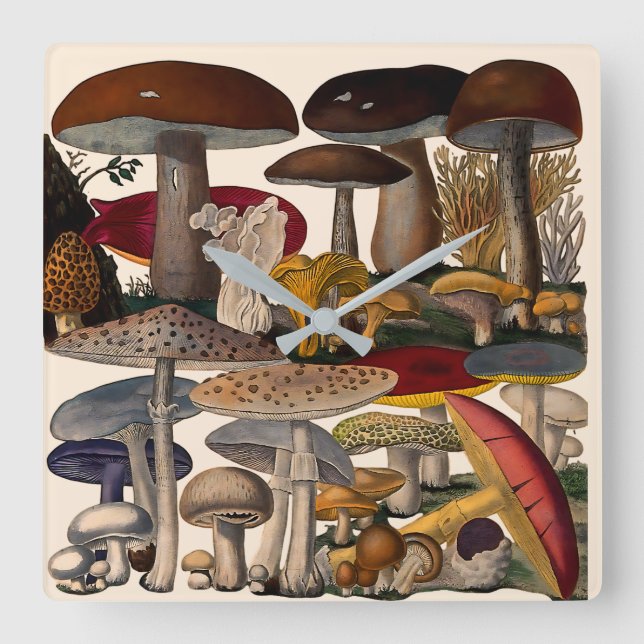 Vintage mushrooms illustration square wall clock (Front)