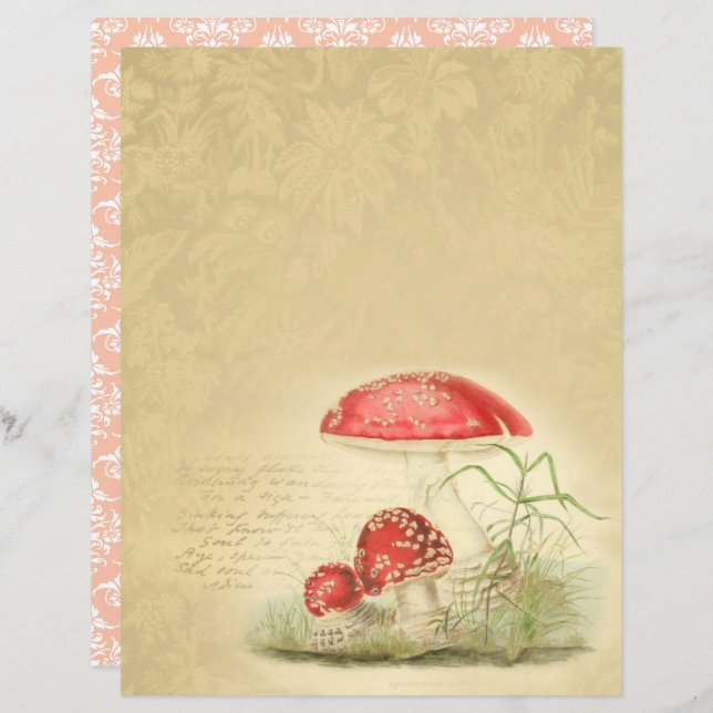 Vintage Mushrooms Scrapbook Paper - Marple Hall (Front/Back)