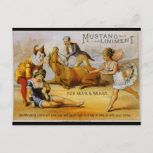 Vintage Mustang Liniment Postcard